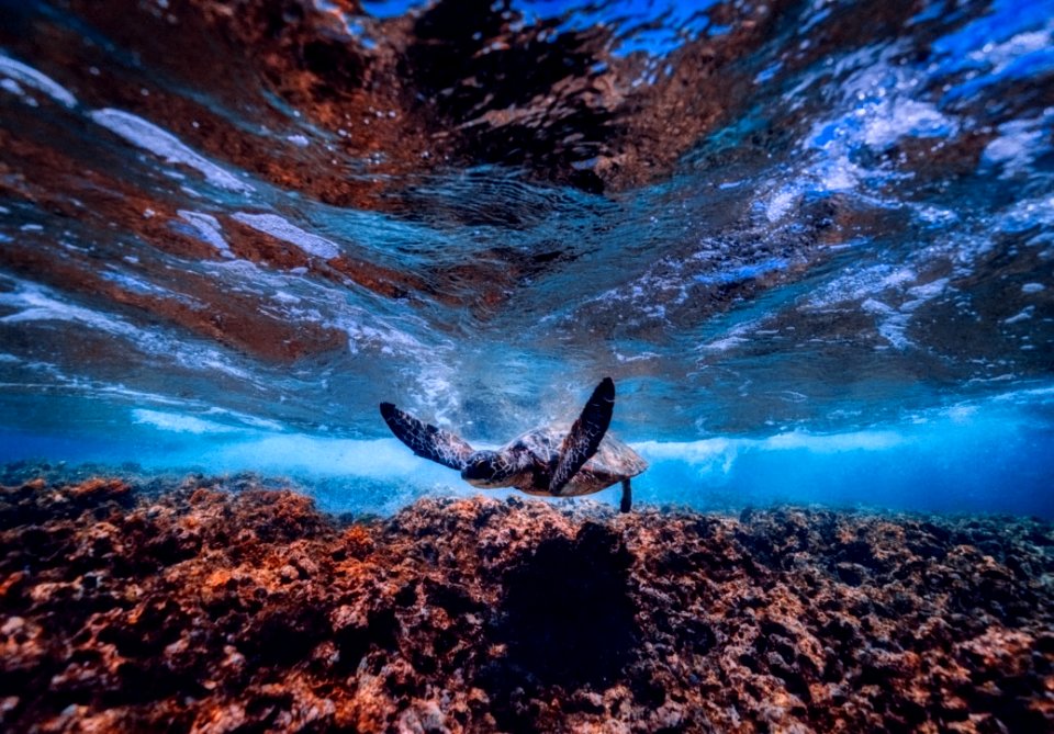 Sky Water Rock Earth
