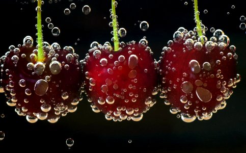 Water Jewelry Making Macro Photography Moisture