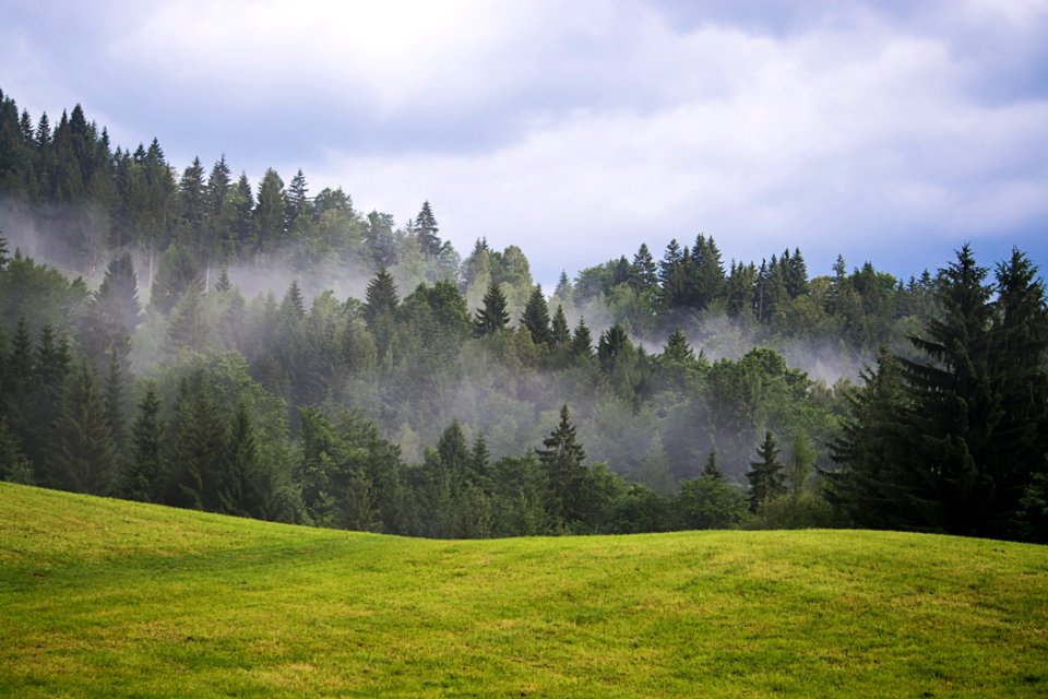 Nature Tree Sky Mountainous Landforms