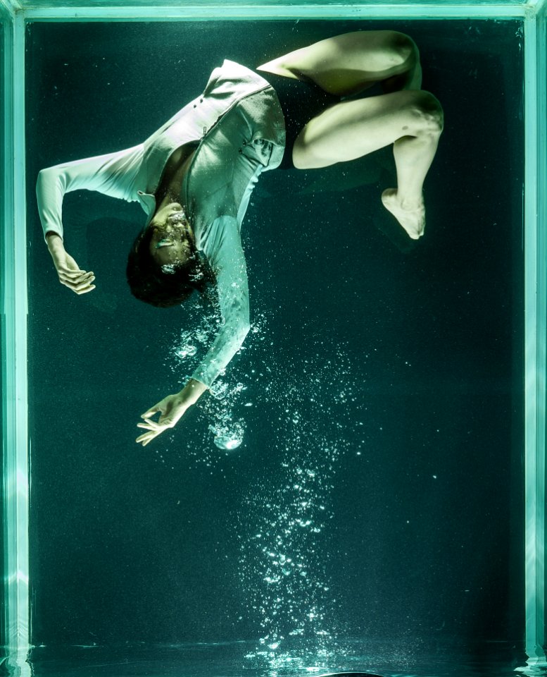 Water Underwater Diving Organism