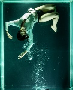 Water Underwater Diving Organism photo