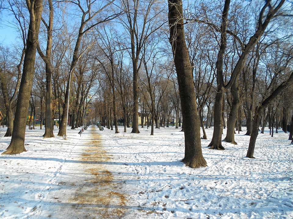 Snow scenic landscape