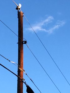 Moon On A Pole