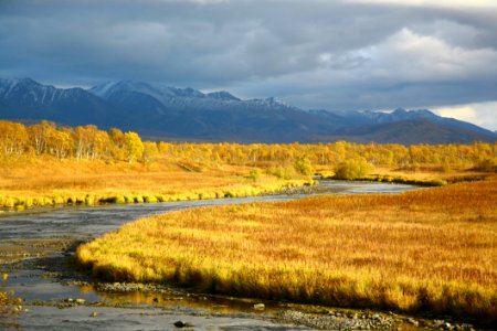 Wilderness Highland Tundra Wetland
