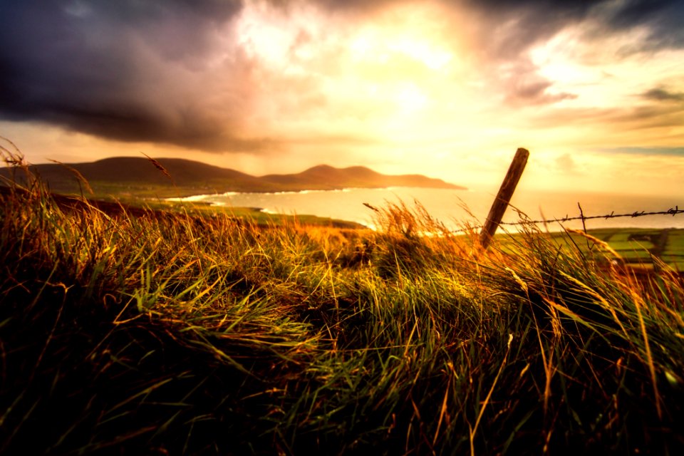 Sky Grass Field Horizon