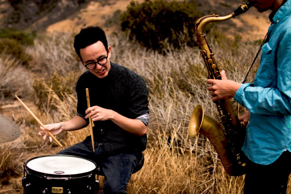 Musical Instrument Musician Grass Tree