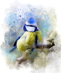 Watercolor Paint Bird Painting Flightless Bird photo