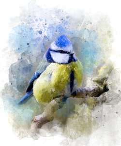 Watercolor Paint Bird Painting Flightless Bird