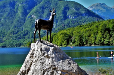 Nature Nature Reserve Wilderness Mountain photo