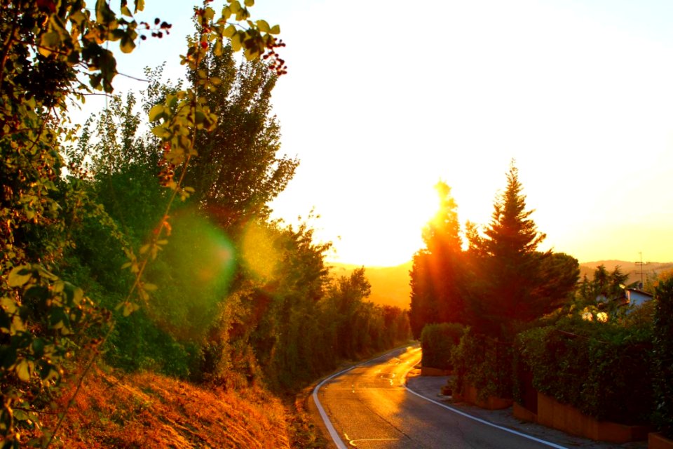 Nature Sky Road Morning