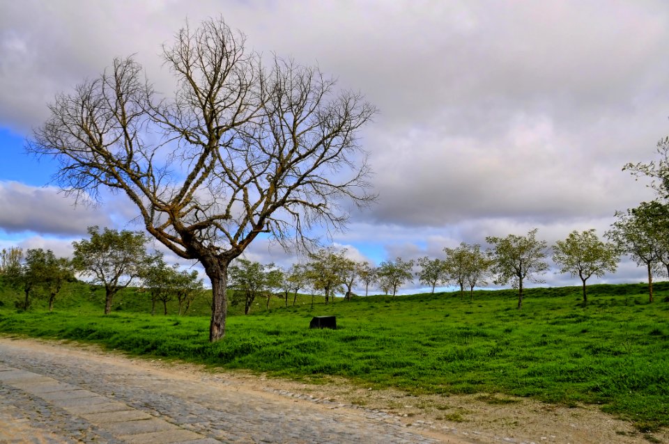 Almeida Portugal