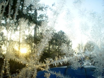 Frost Pattern Day