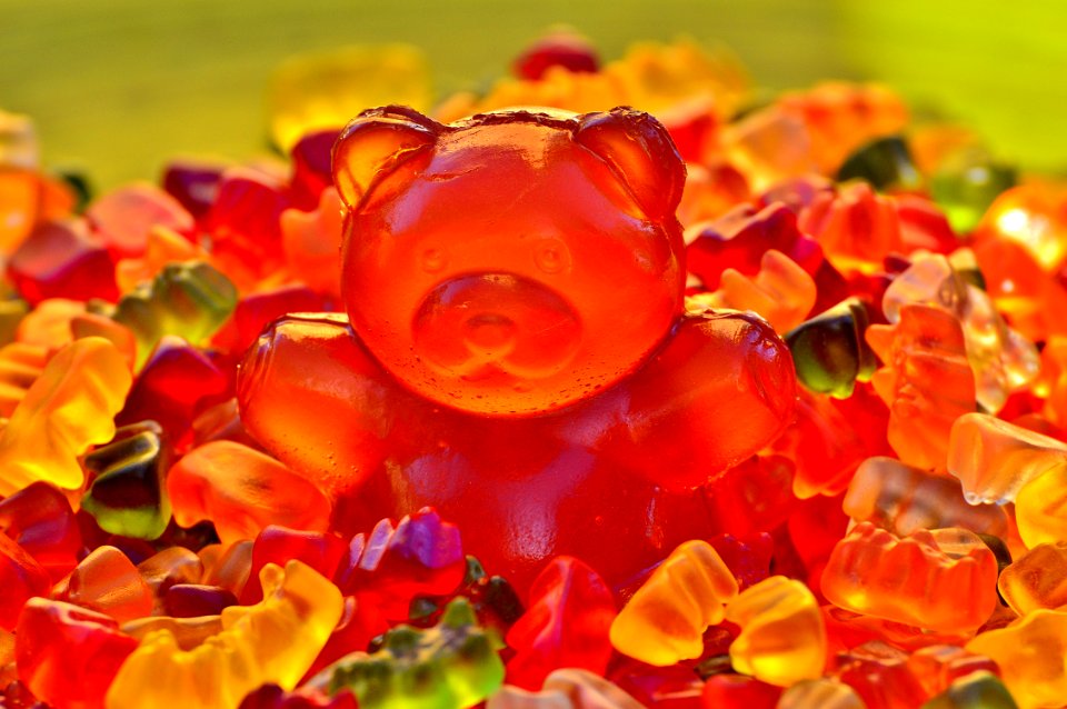 Orange Flower Petal Close Up