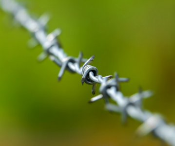 Macro Photography Close Up Barbed Wire Wire Fencing photo