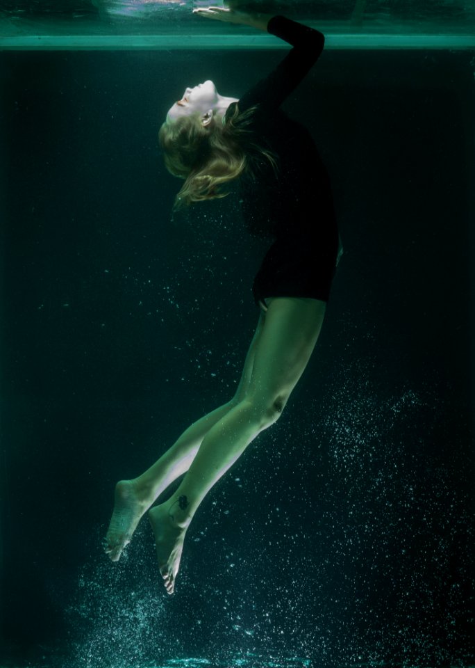 Water Underwater Organism Diving