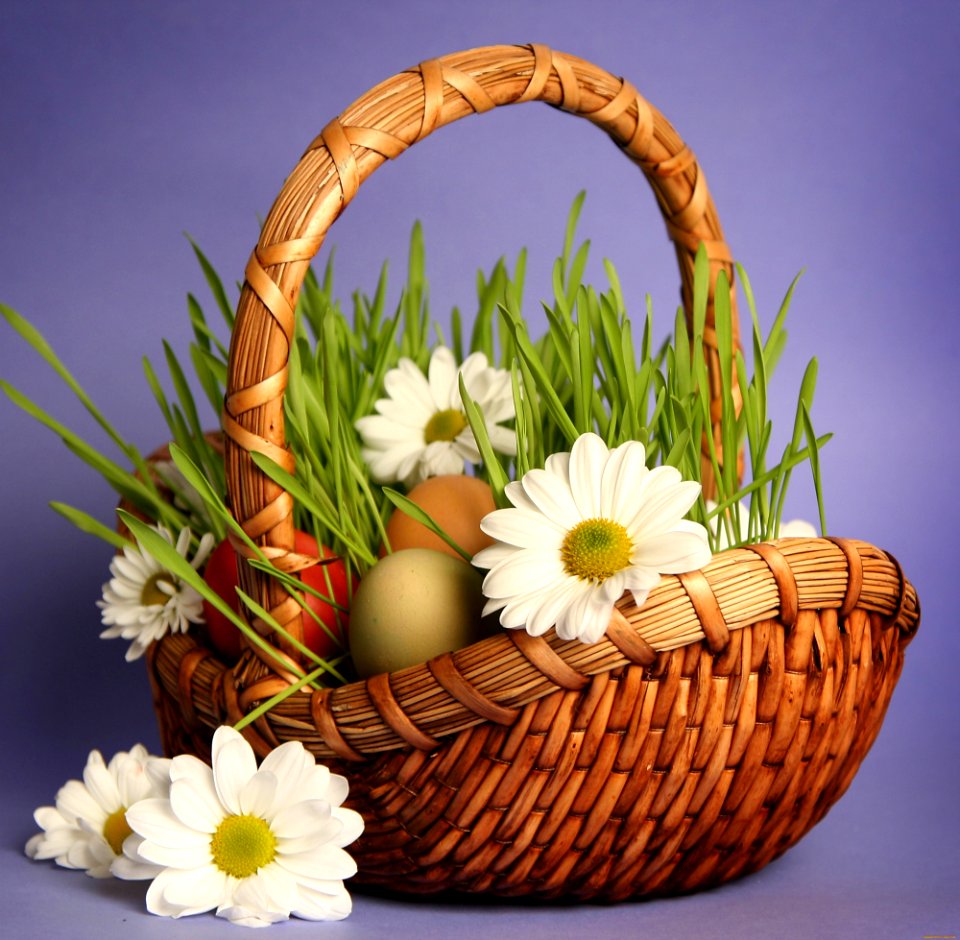 Flower Floristry Flowerpot Flower Arranging photo