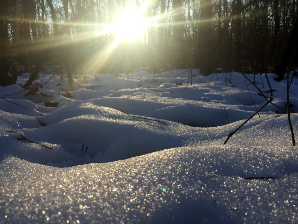 Snow Winter Freezing Sky