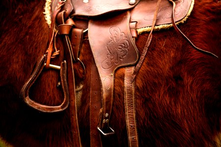 Horse Saddle photo