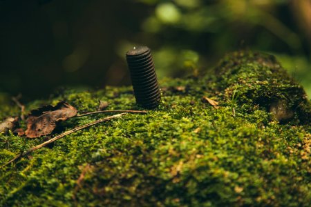 Bolt In The Grass