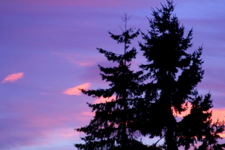 Sunrise Over Kenmore WA USA - 5JPG