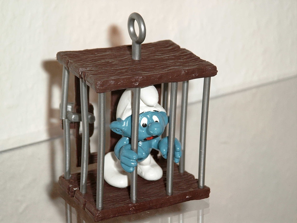 Caught prison included