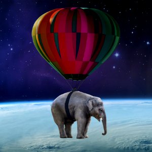 Elephants And Mammoths Mammal Sky Atmosphere Of Earth