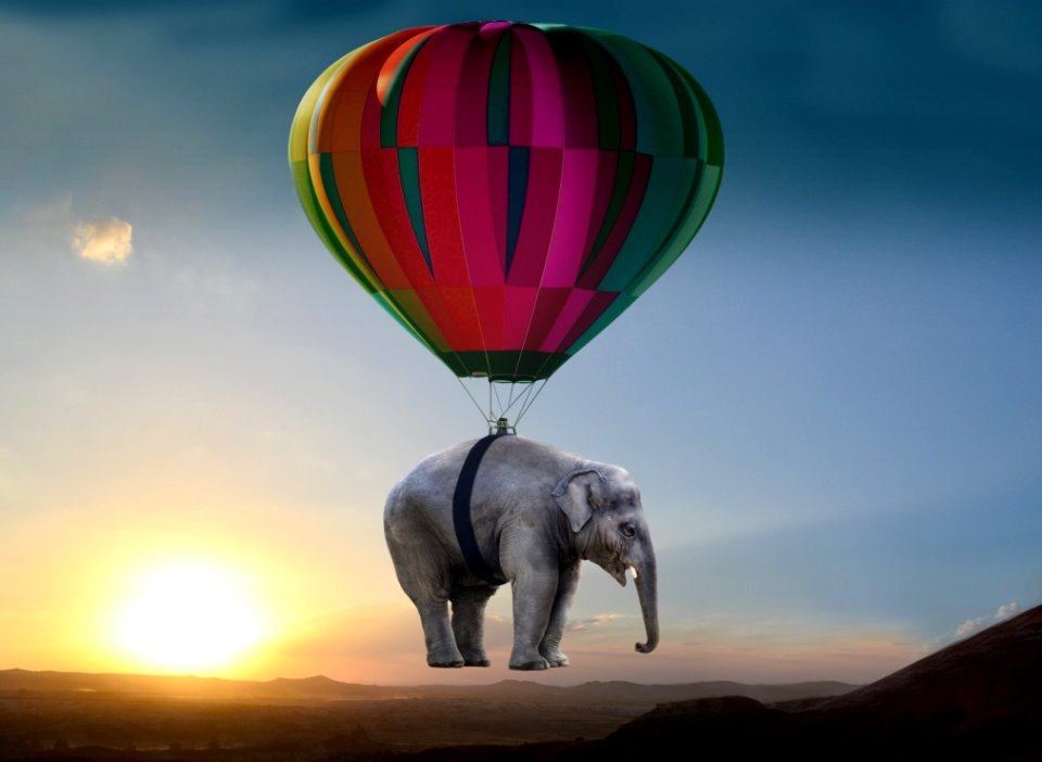 Elephants And Mammoths Hot Air Balloon Hot Air Ballooning Sky