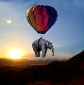 Hot Air Ballooning Elephants And Mammoths Hot Air Balloon Sky