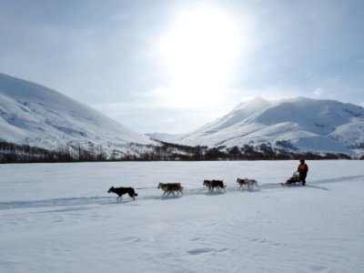 Snow Arctic Winter Sled Dog Racing