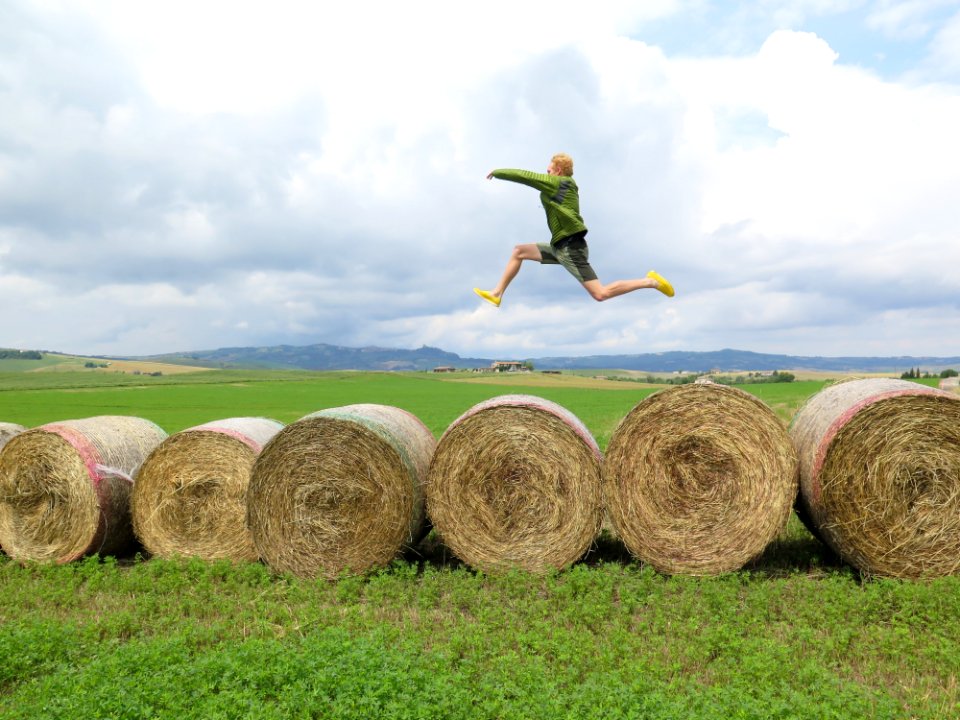 Hay Field Agriculture Grass