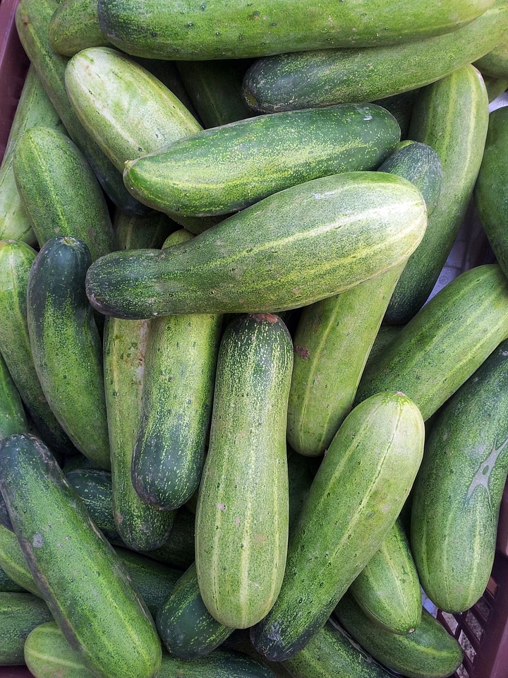 Stack japanese cucumber food