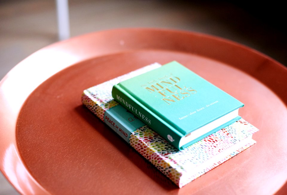 Book Pages Sheet Diary Novel