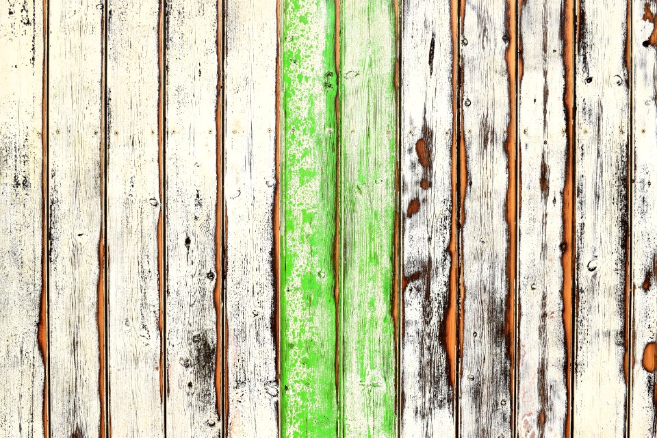 Wood Tree Texture Trunk