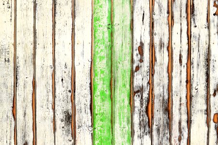 Wood Tree Texture Trunk photo