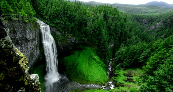 Vegetation Waterfall Nature Nature Reserve photo