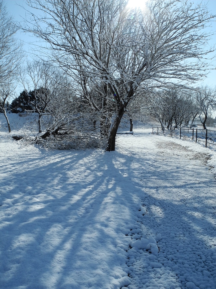 Snowy cold freezing