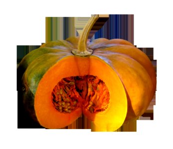 Calabaza Winter Squash Vegetable Cucurbita