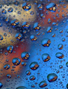 Blue Water Drop Organism