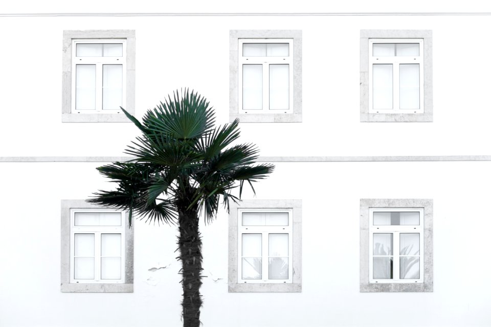 Property Window Home House