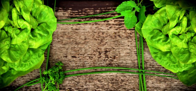 Green Leaf Plant Leaf Vegetable