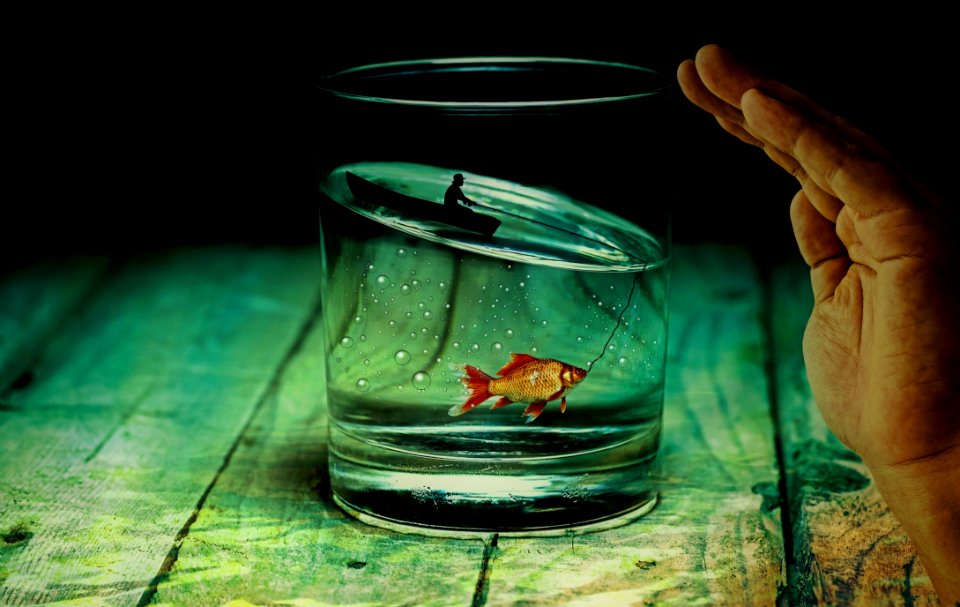 Glass Water Still Life Photography Transparency And Translucency