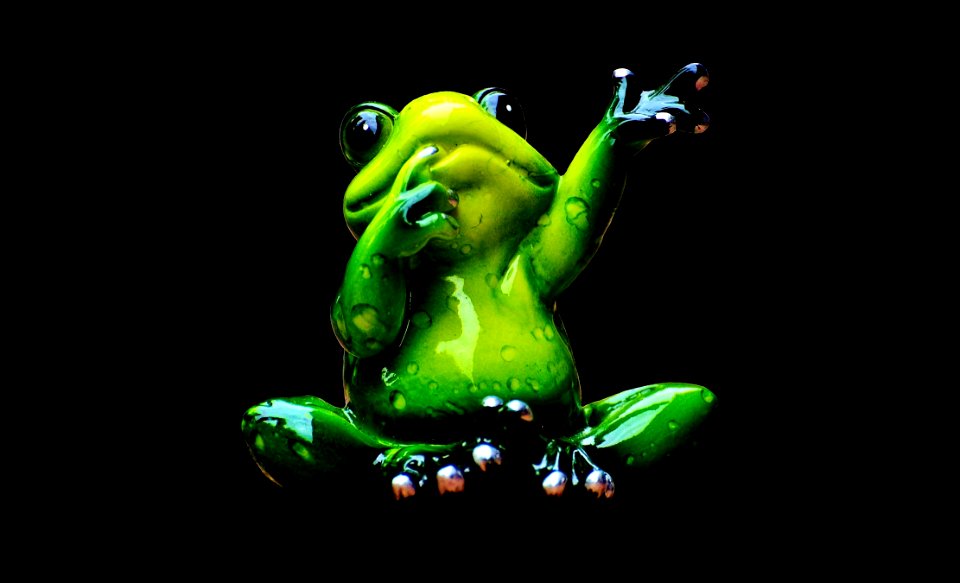 Green Tree Frog Vertebrate Frog