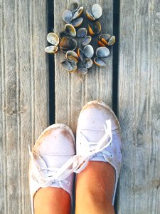 Shoe