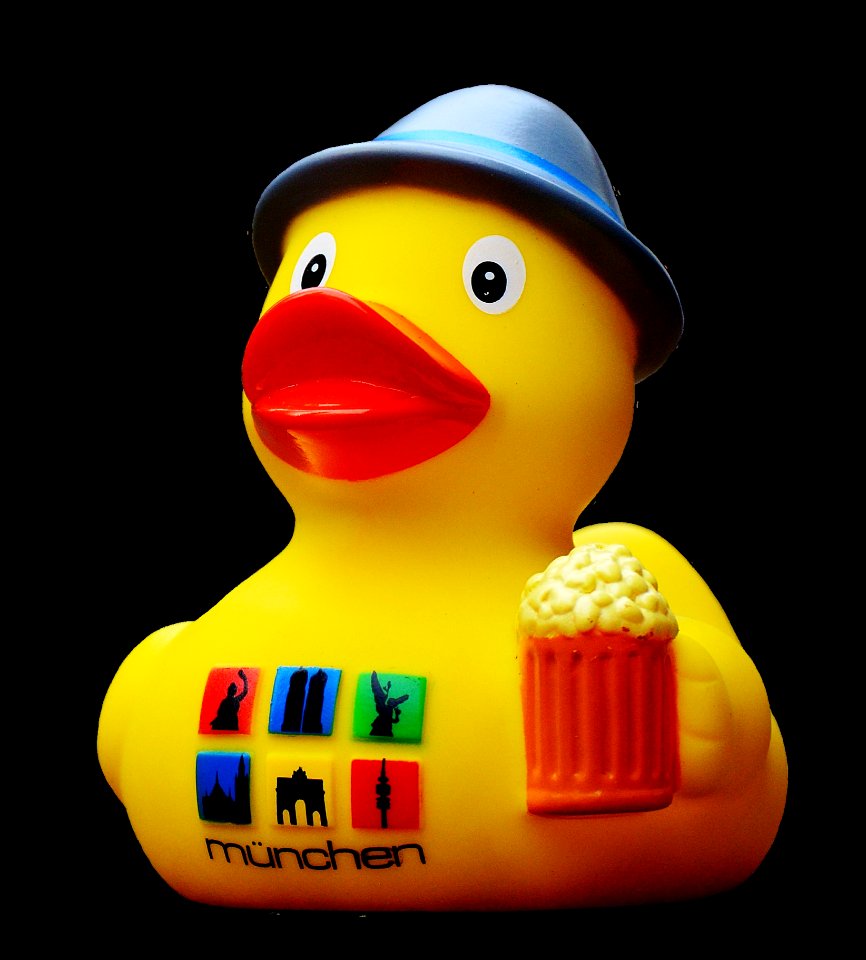 Yellow Vertebrate Water Bird Ducks Geese And Swans