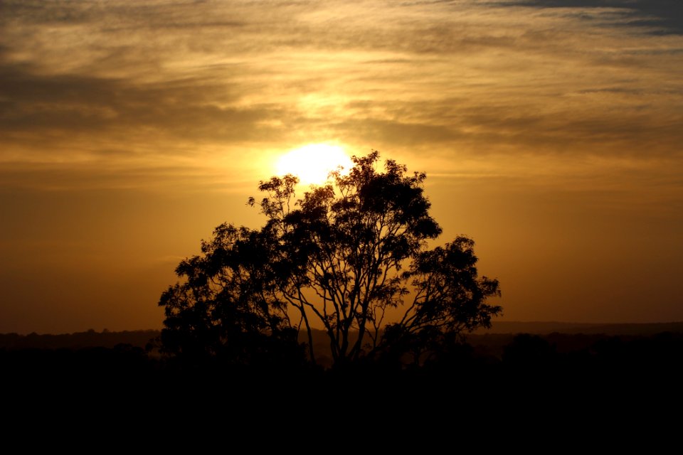 Sky Tree Sunrise Sunset