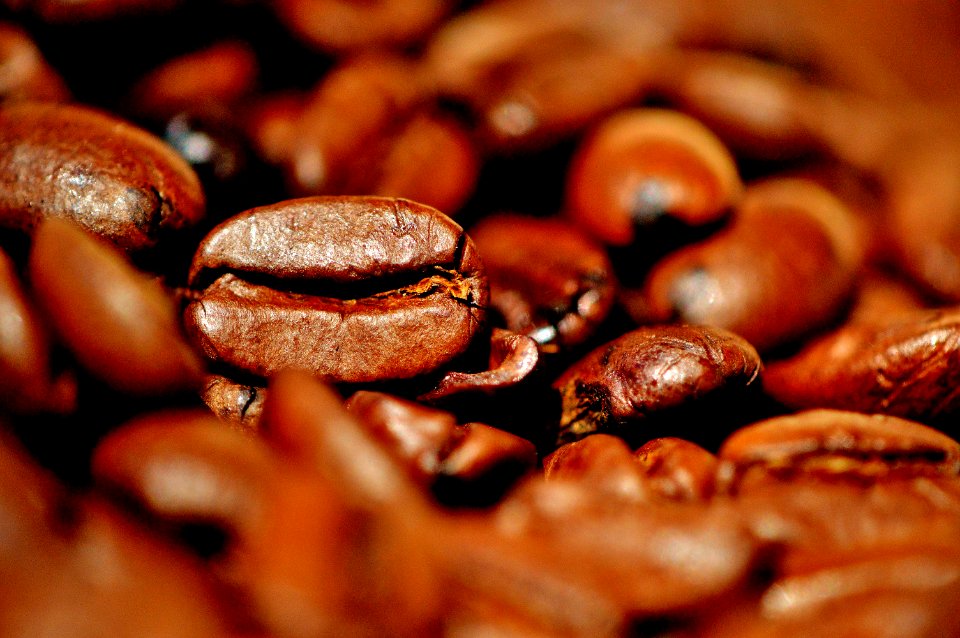 Caffeine Cocoa Bean Jamaican Blue Mountain Coffee Coffee