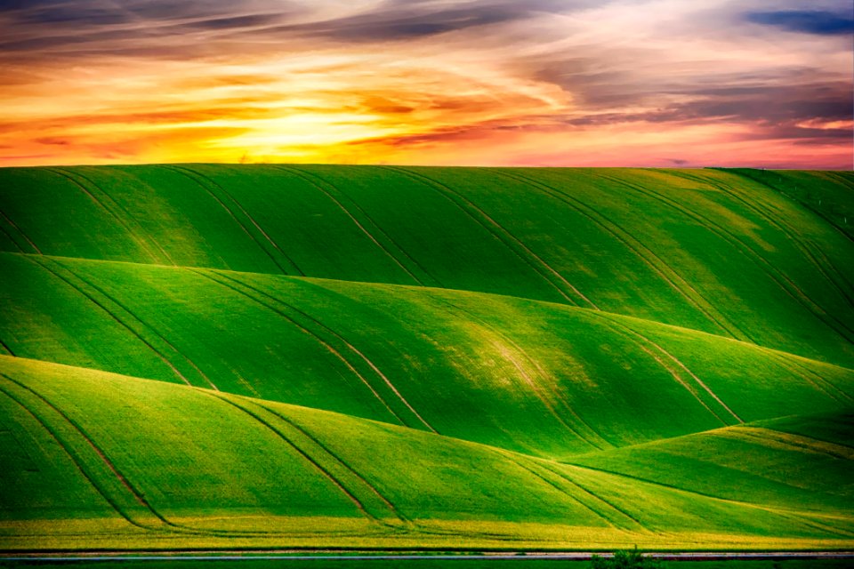 Grassland Sky Field Ecosystem