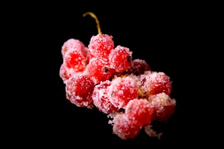 Berry Fruit Frutti Di Bosco Raspberry photo