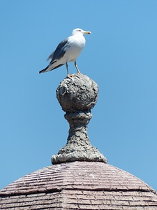 Top spire stone
