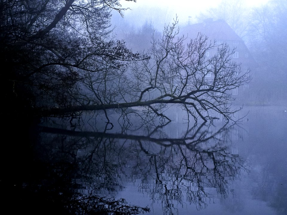 Water Nature Reflection Fog